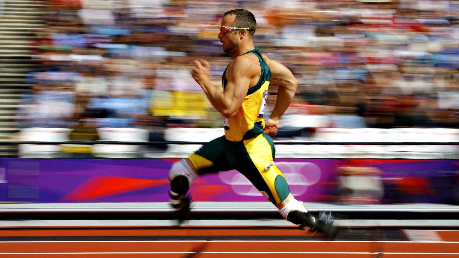 _极限滑草赛:在坡地上体验速度奇迹_,滑草滑道视频