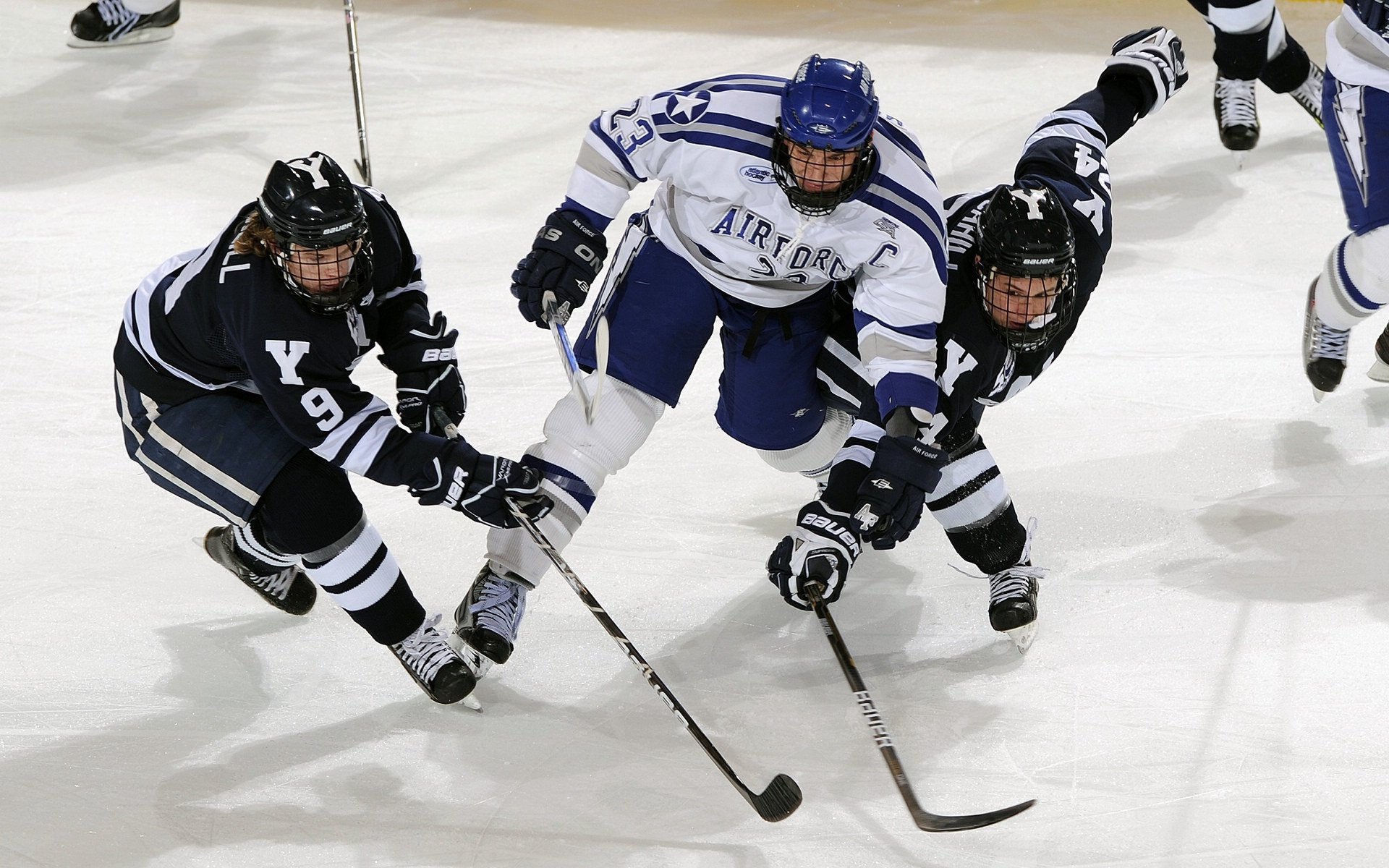 日本骑手高桥洋子在2024年国际马术障碍大奖赛中与“闪电”马匹获得亚军，表现出色。